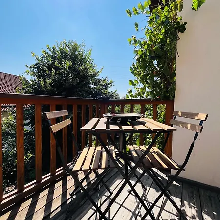 Sonnige Muehlhausen Mit Suedbalkon Apartament