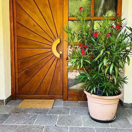 Sonnige Muehlhausen Mit Suedbalkon Apartament